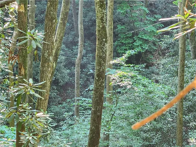 $54,900 | 0 Mountain Vista Drive, McGrady, NC 28649