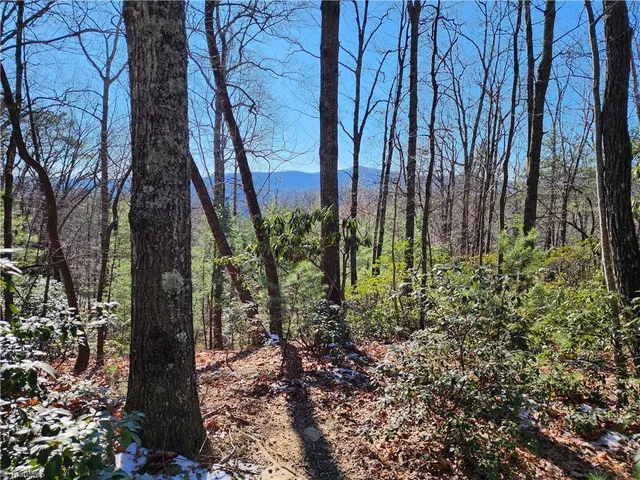 $54,900 | 0 Mountain Vista Drive, McGrady, NC 28649