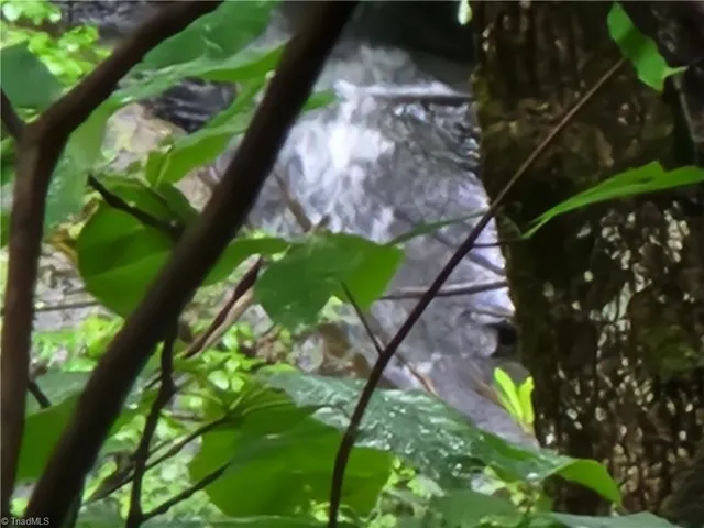 $54,900 | 0 Mountain Vista Drive, McGrady, NC 28649