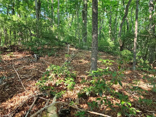 $54,900 | 0 Mountain Vista Drive, McGrady, NC 28649