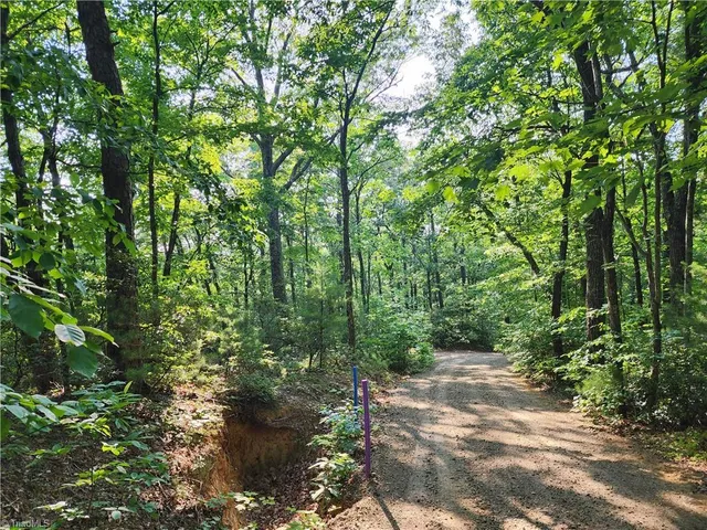 $54,900 | 0 Mountain Vista Drive, McGrady, NC 28649