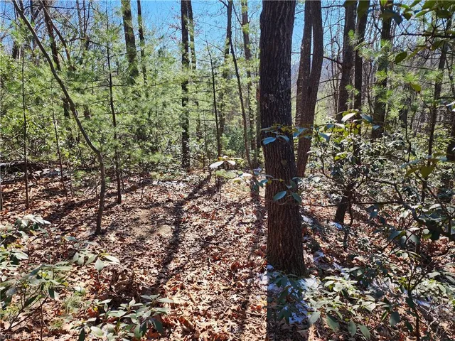 $54,900 | 0 Mountain Vista Drive, McGrady, NC 28649