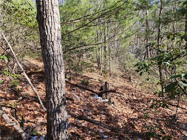 $54,900 | 0 Mountain Vista Drive, McGrady, NC 28649