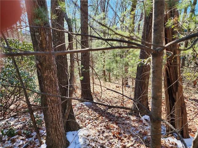 $54,900 | 0 Mountain Vista Drive, McGrady, NC 28649