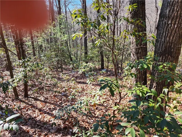 $54,900 | 0 Mountain Vista Drive, McGrady, NC 28649