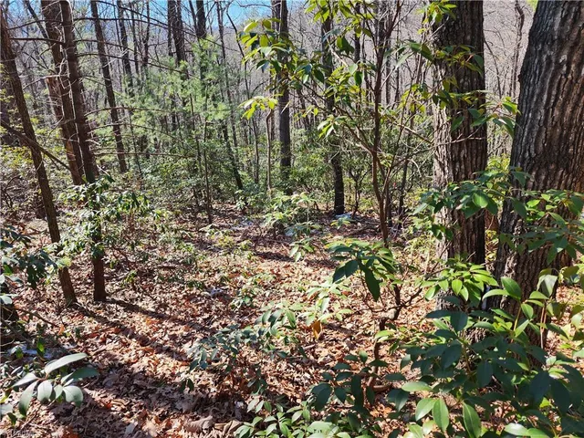 $54,900 | 0 Mountain Vista Drive, McGrady, NC 28649