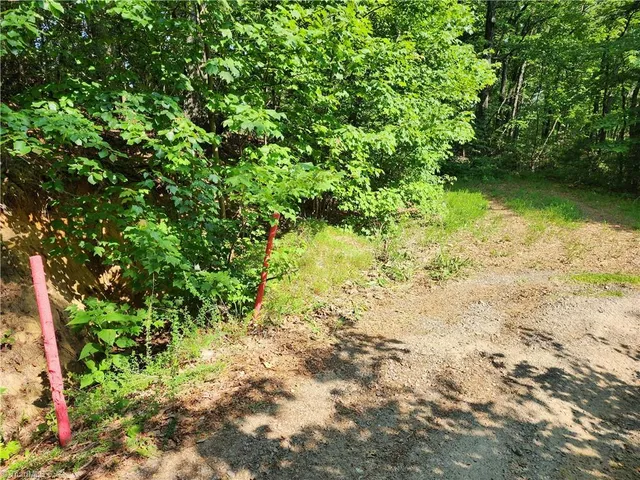 $54,900 | 0 Mountain Vista Drive, McGrady, NC 28649