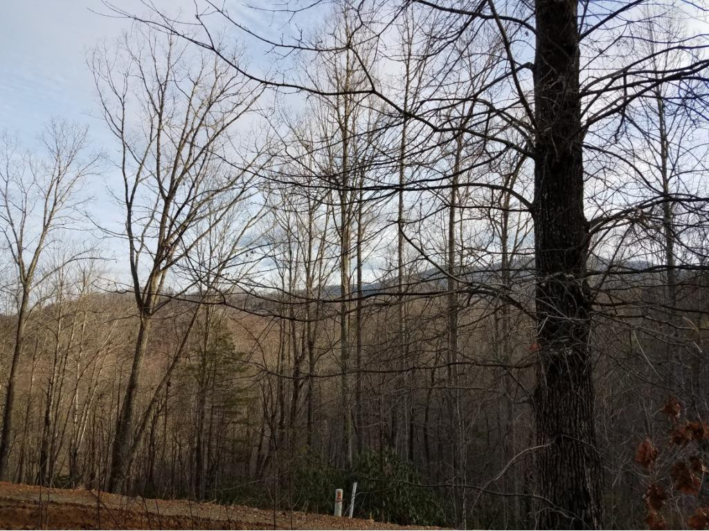 Lot 18 Gordon Ridge, Unit 18 Butler, TN 37640 - Photo 2 of 4 Photo 2