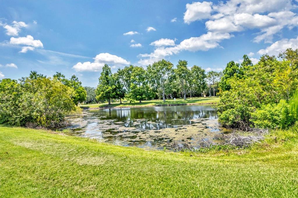 12755 Rainwashed Loop Parrish, FL 34219 - Photo 36 of 59