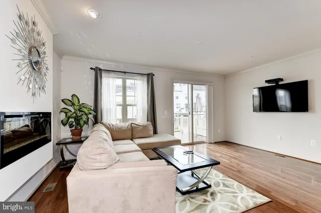 a living room with furniture a flat screen tv and a potted plant