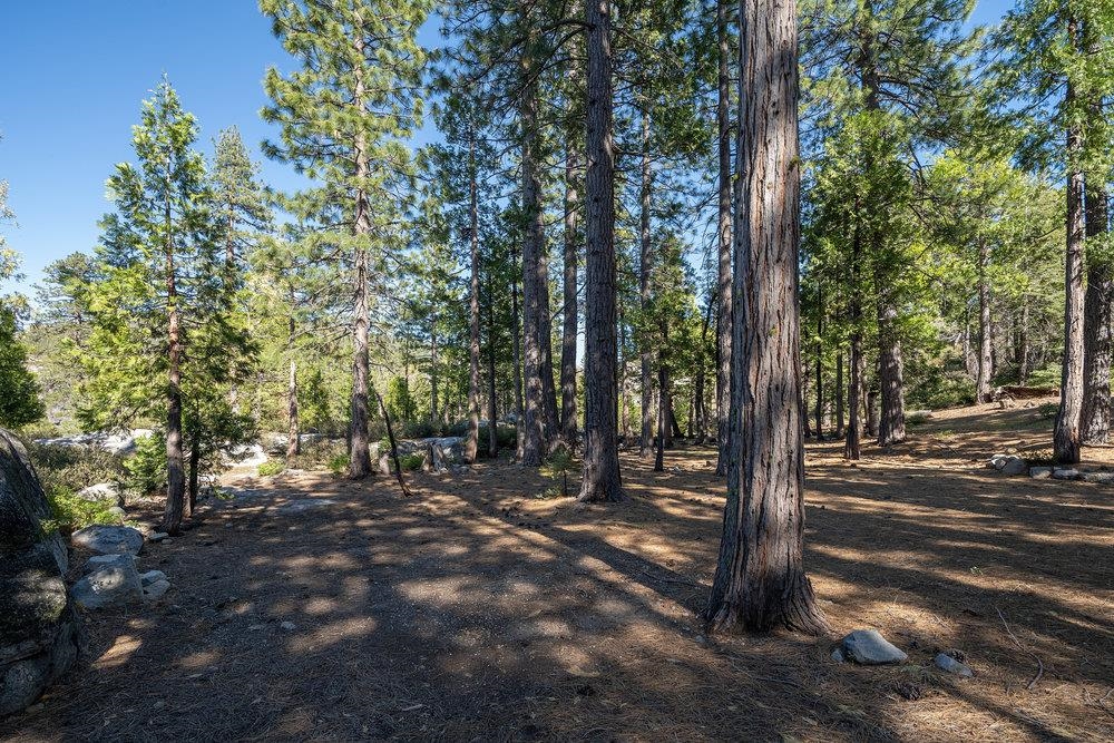 11820 Eagle Lakes Road Nevada City, CA 95959 - Photo 25 of 26 a view of outdoor space with lots of green space