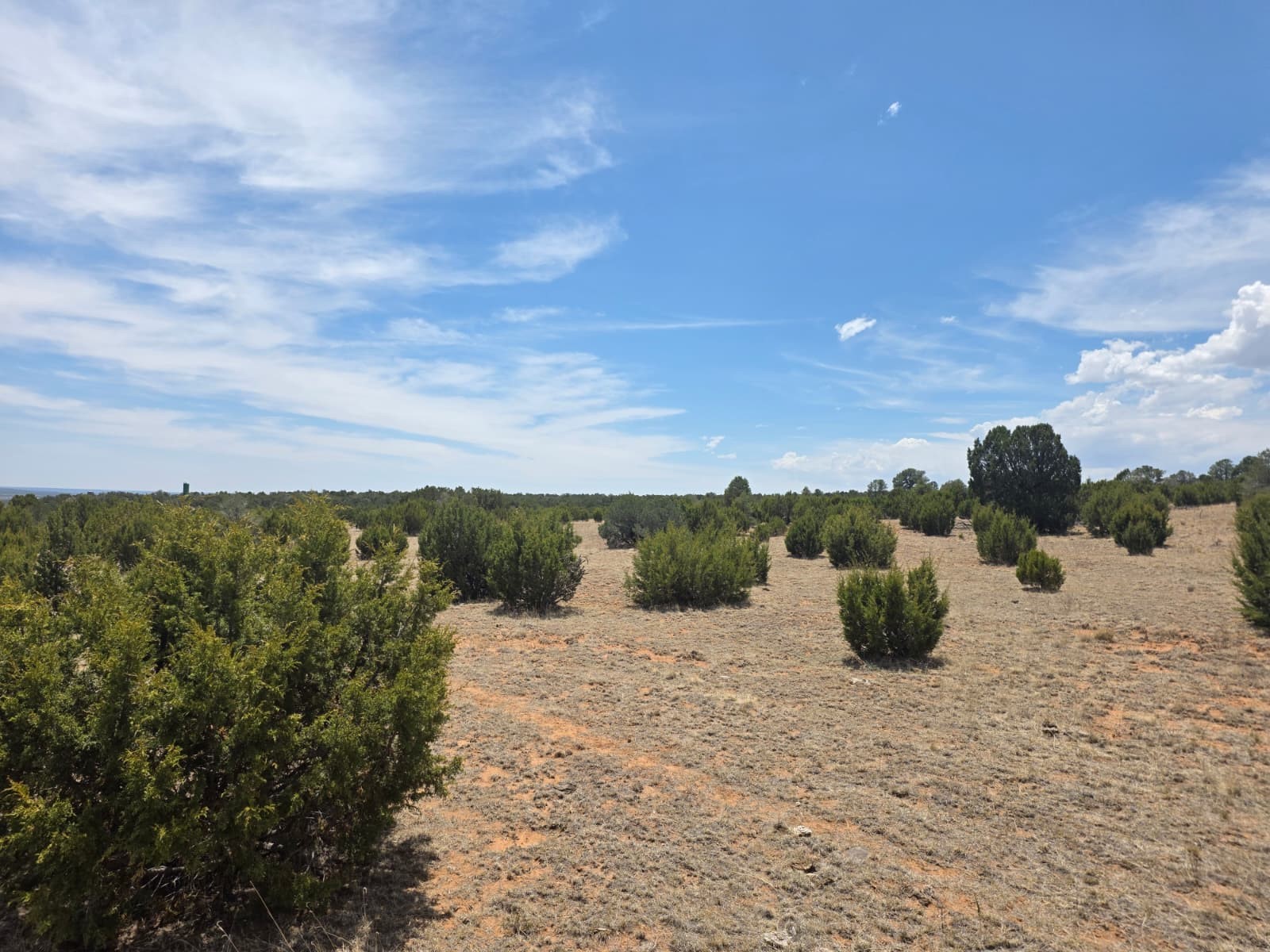0 County Rd B28A Ribera, NM 87560 - Photo 3 of 32