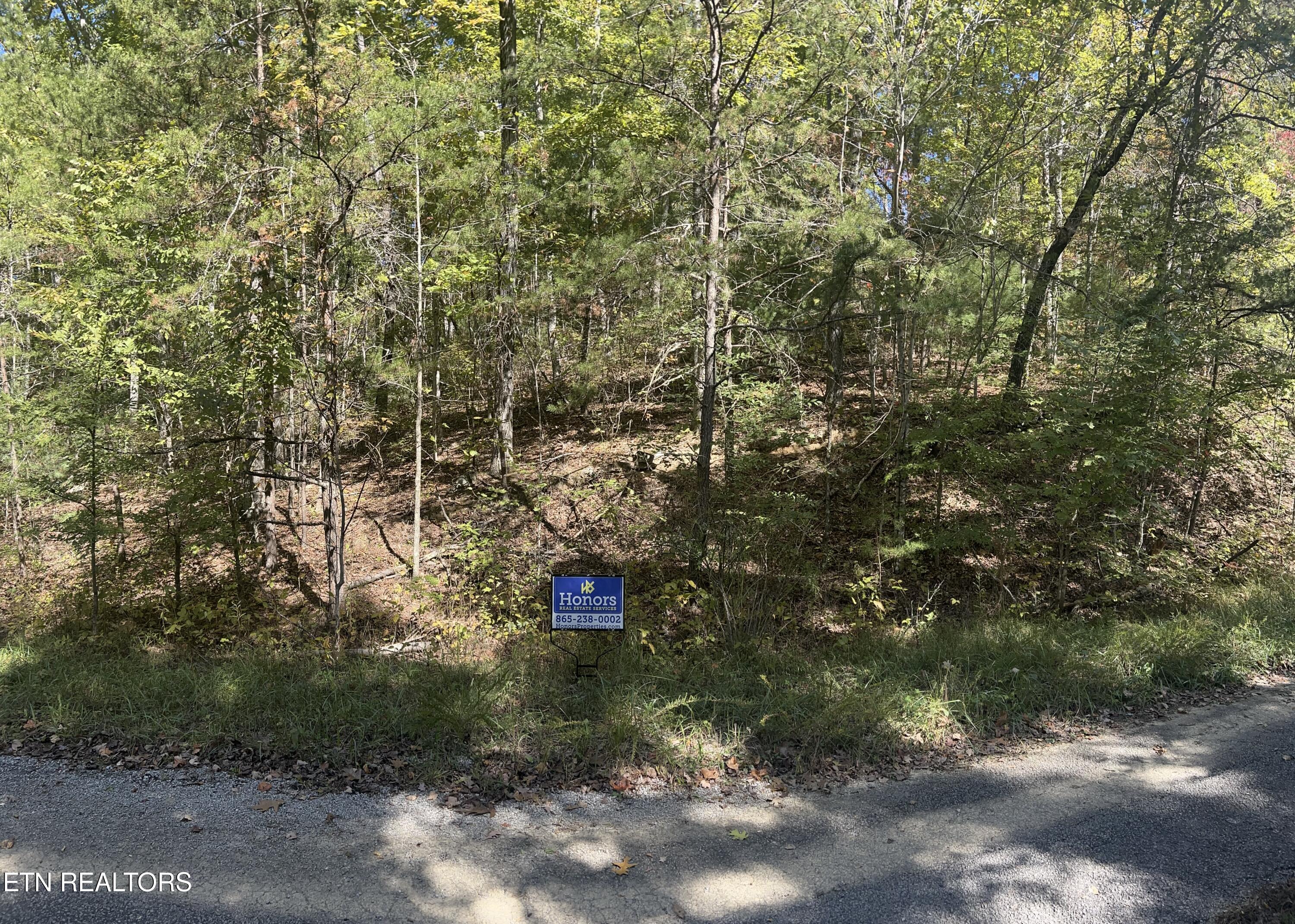 Hickory Hollow Road, Unit 164 Crossville, TN 38572 - Photo 3 of 4 lot 164road front picture