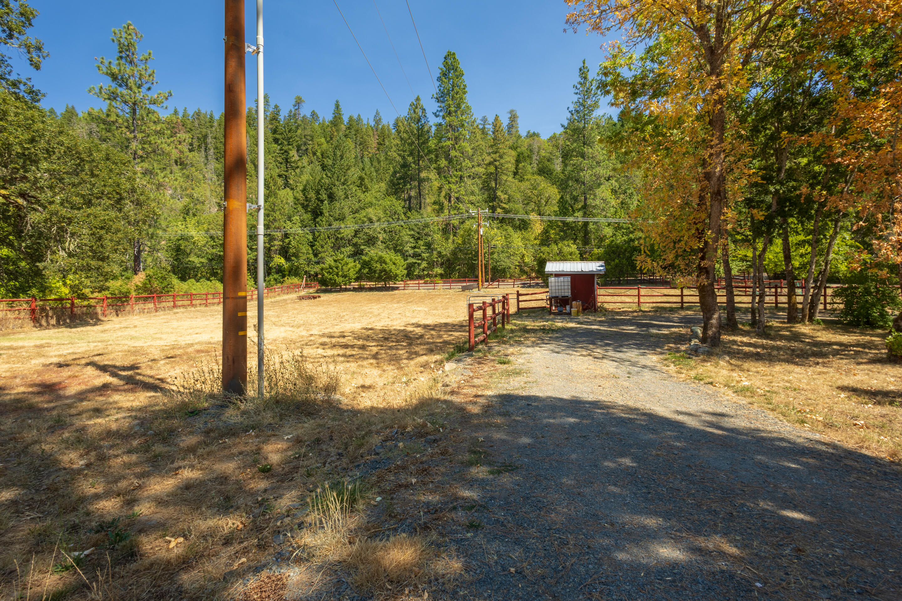 7354 Takilma Road Cave Junction, OR 97523 - Photo 20 of 30 a view of a yard with an outdoor space
