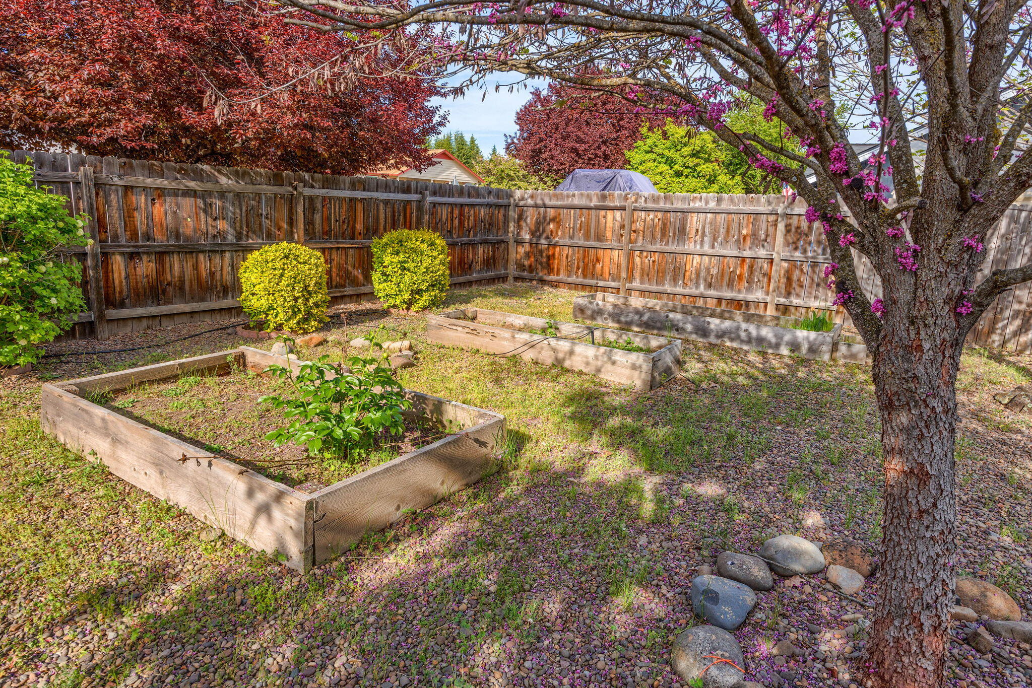 9 Chantrell Court Eagle Point, OR 97524 - Photo 8 of 37 a view of a yard with large trees and wooden fence