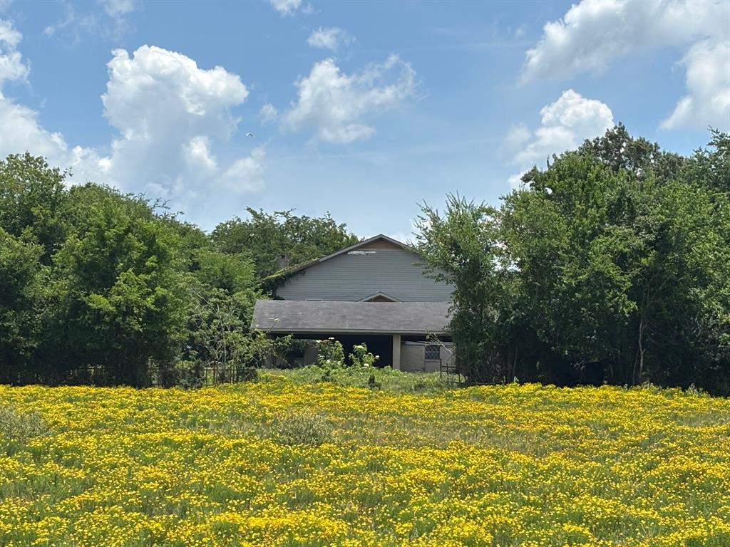 3834 Fenley Flat Road Pollok, TX 75969 - Photo 5 of 5