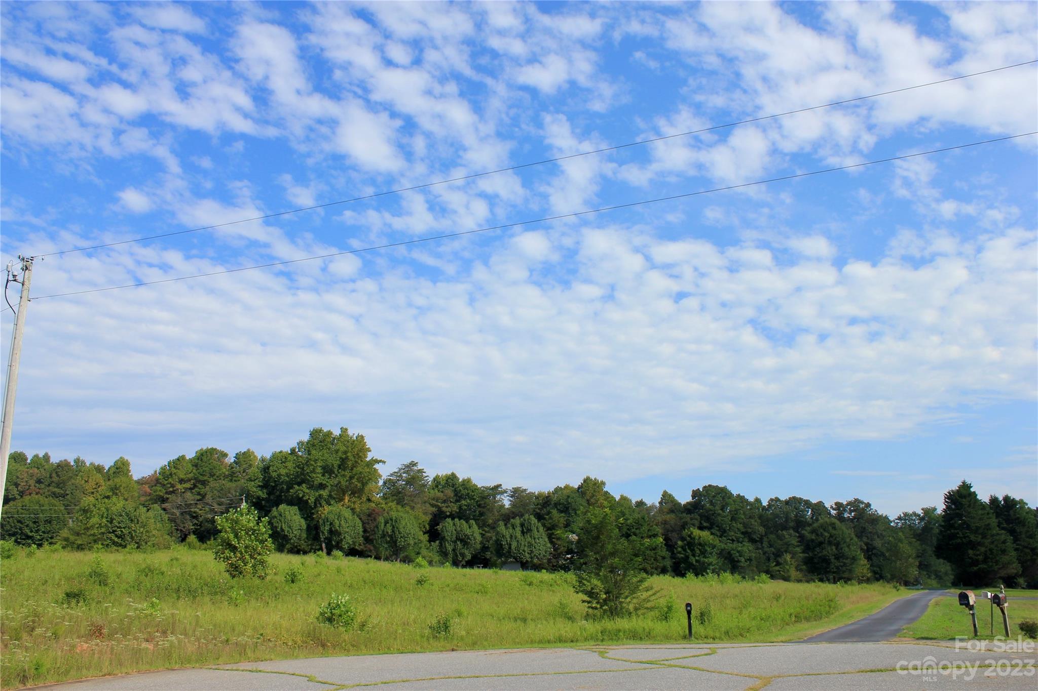 0 Meadows Drive Rutherfordton, NC 28139 - Photo 3 of 8 a view of grassy field with trees