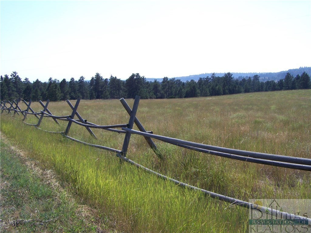 0 Chief Looking Glass Road Brevard, NC 28712 - Photo 1 of 1 Gallery Image 1