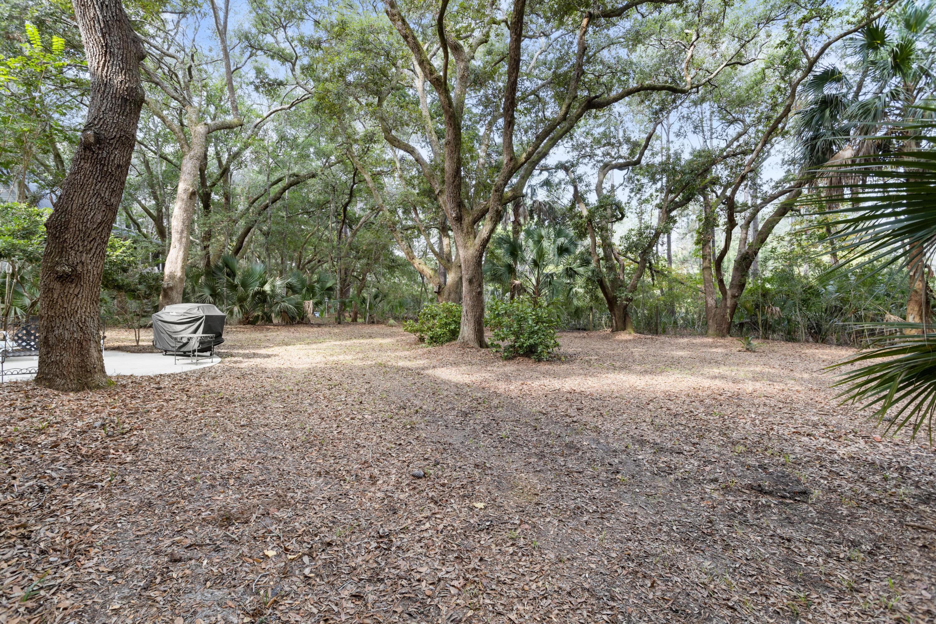 2540 Clear Marsh Road Seabrook Island, SC 29455 - Photo 28 of 72 Coastalrephoto2540ClearMarshRoad-26