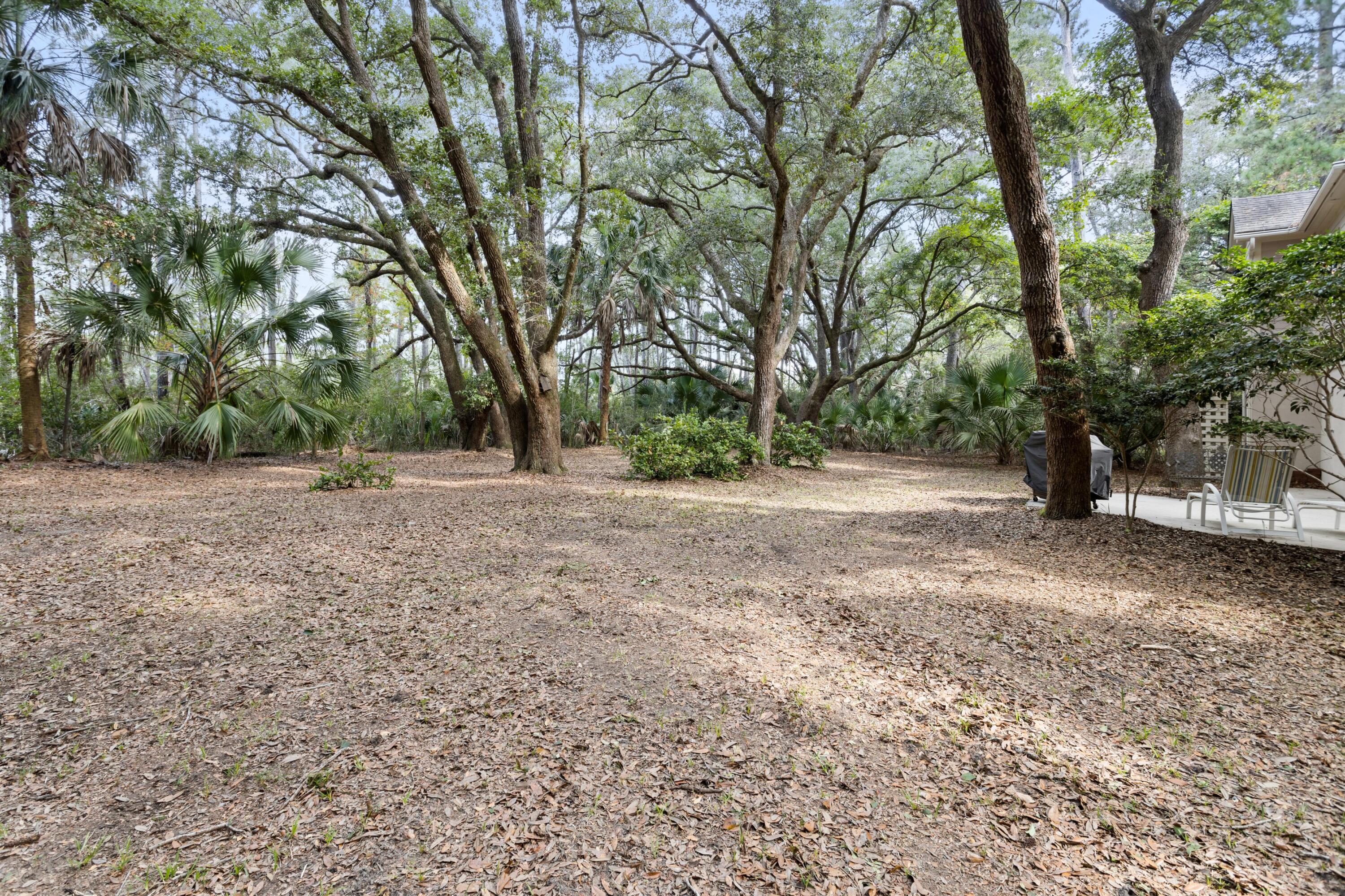 2540 Clear Marsh Road Seabrook Island, SC 29455 - Photo 29 of 72 Coastalrephoto2540ClearMarshRoad-27