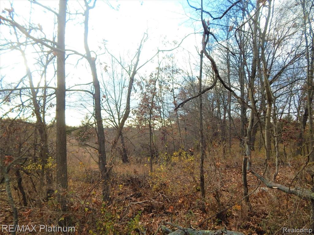 0 Bentley Lake Road Pinckney, MI 48169 - Photo 20 of 24