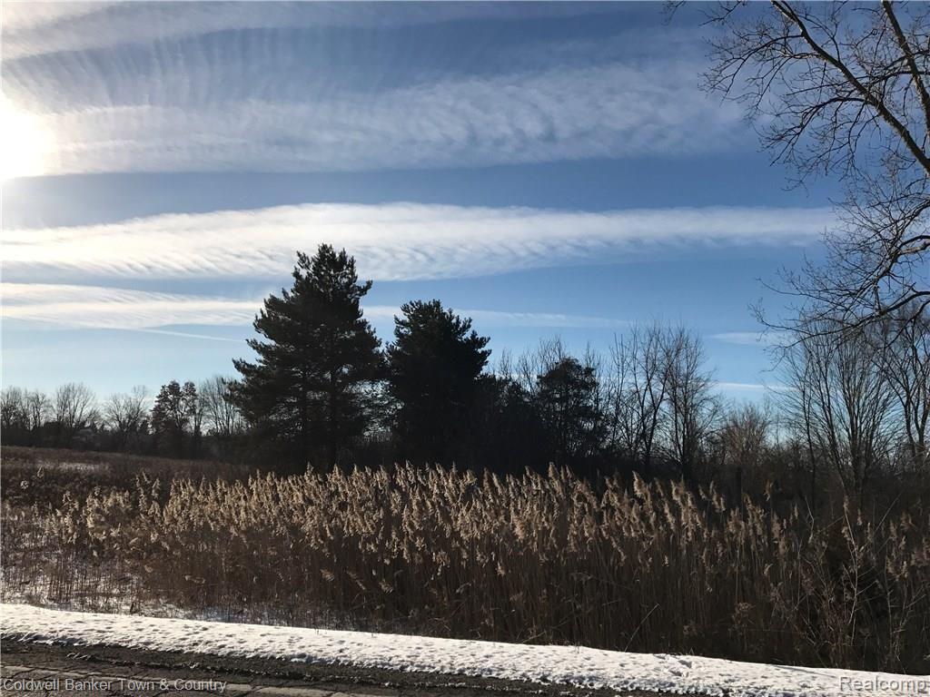 Parcel A Parcel A Loon Lake Road Wixom, MI 48393 - Photo 3 of 3 Gallery Image 3
