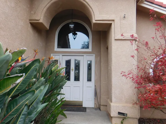 a front view of a house with plants
