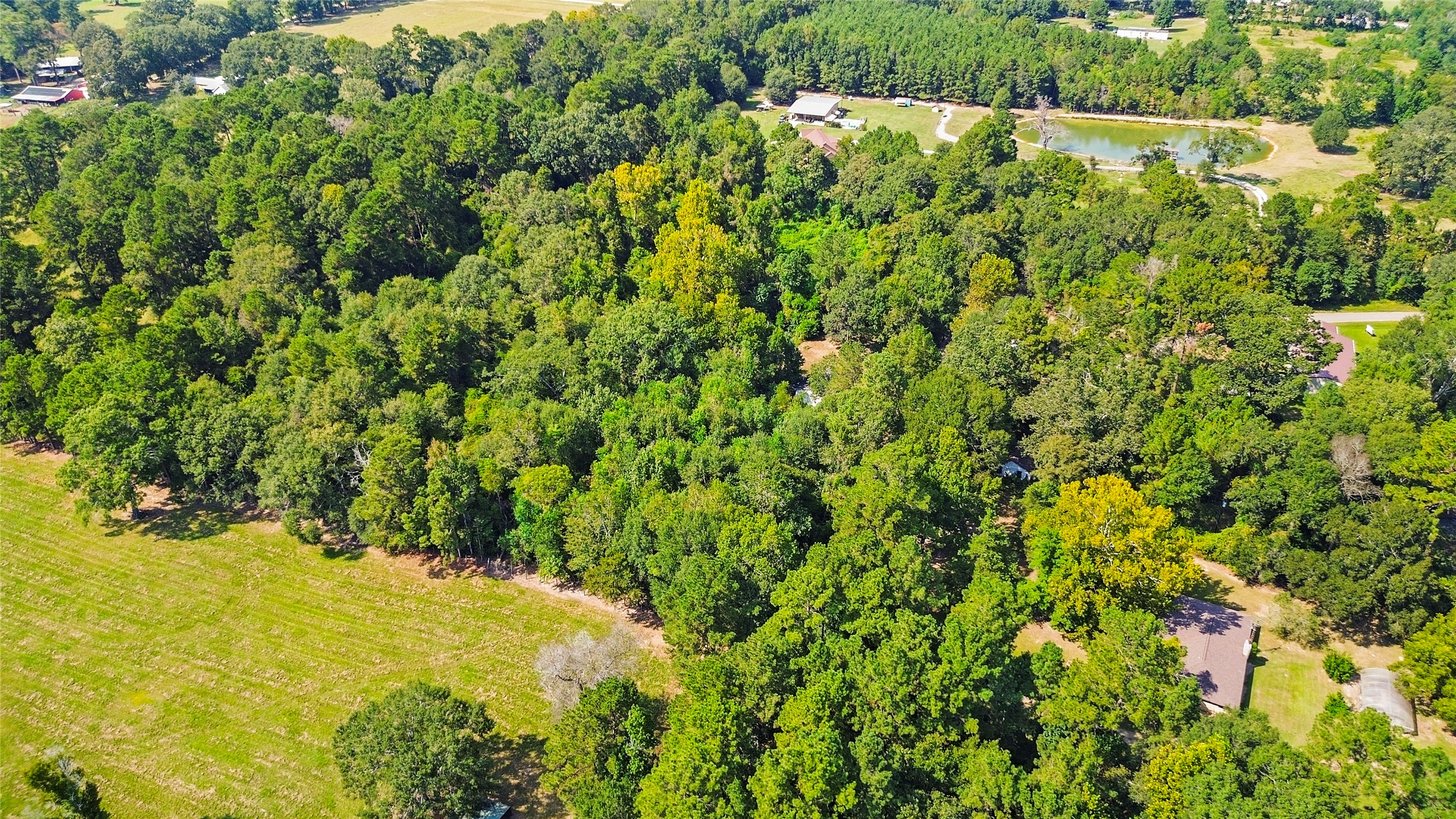 2192 County Road 2192 Cleveland, TX 77327 - Photo 6 of 7 a view of a yard with a tree