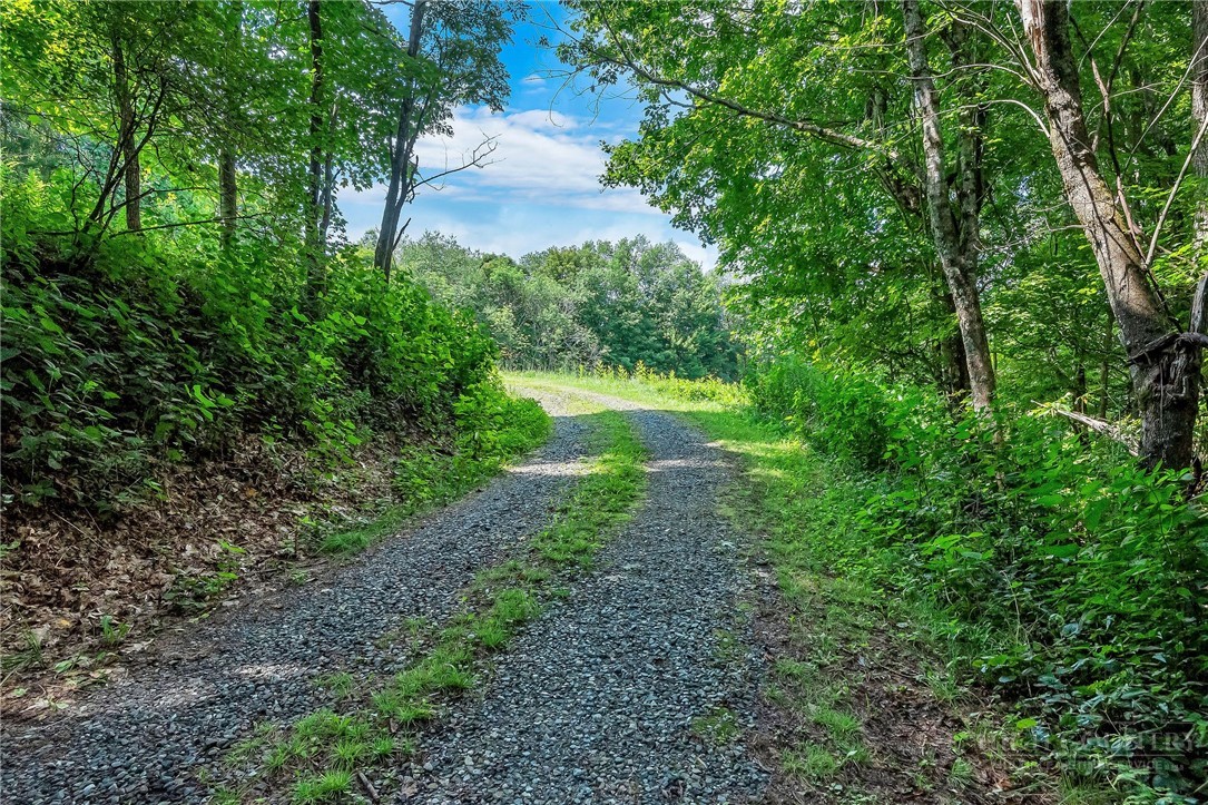 Little Windfall Road Lansing, NC 28643 - Photo 22 of 37 Gallery Image 22