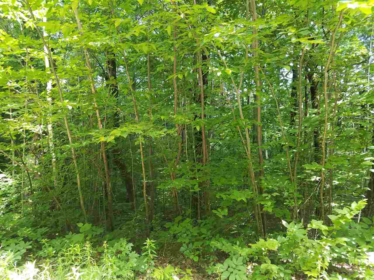 28 Miller Road, Unit LOT 28 Windsor, NH 03244 - Photo 1 of 3 Gallery Image 1