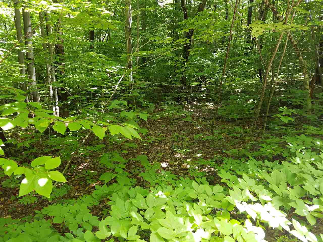 28 Miller Road, Unit LOT 28 Windsor, NH 03244 - Photo 2 of 3 Gallery Image 2