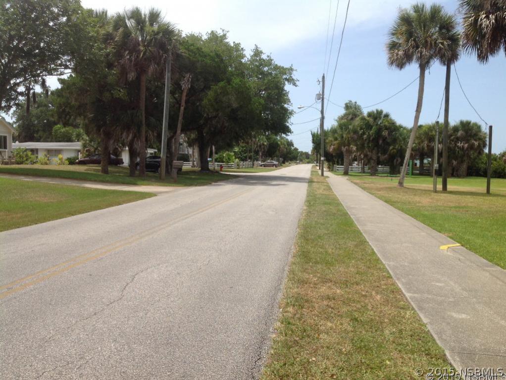 1307 South Riverside Drive Edgewater, FL 32132 - Photo 8 of 8 a view of a park with palm trees
