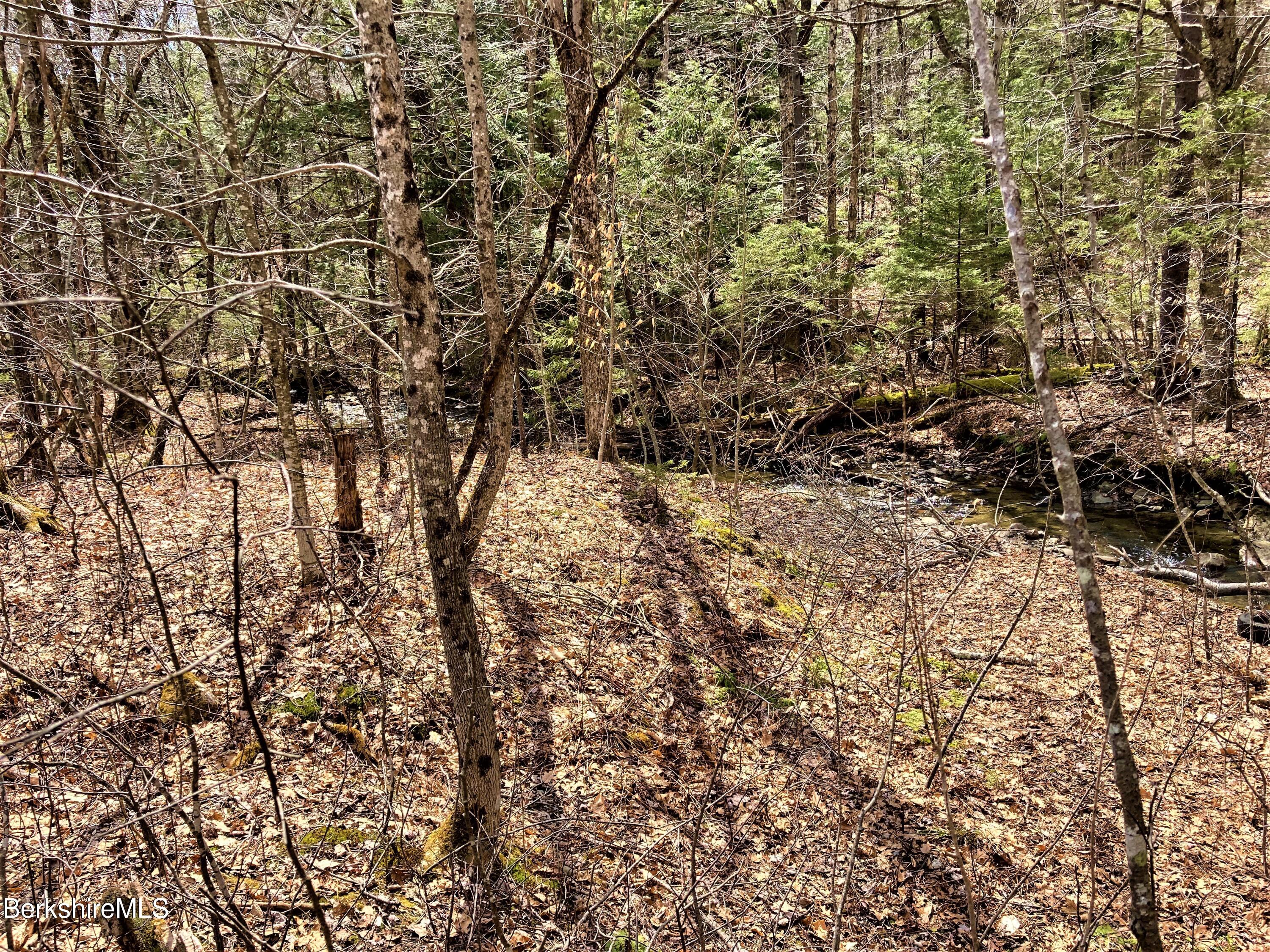 Shaft Road North Adams, MA 01247 - Photo 3 of 4 a view of a yard with a tree