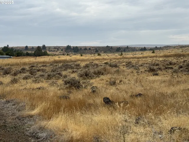 $79,000 | Nka E Market Street, Bickleton, WA 99322