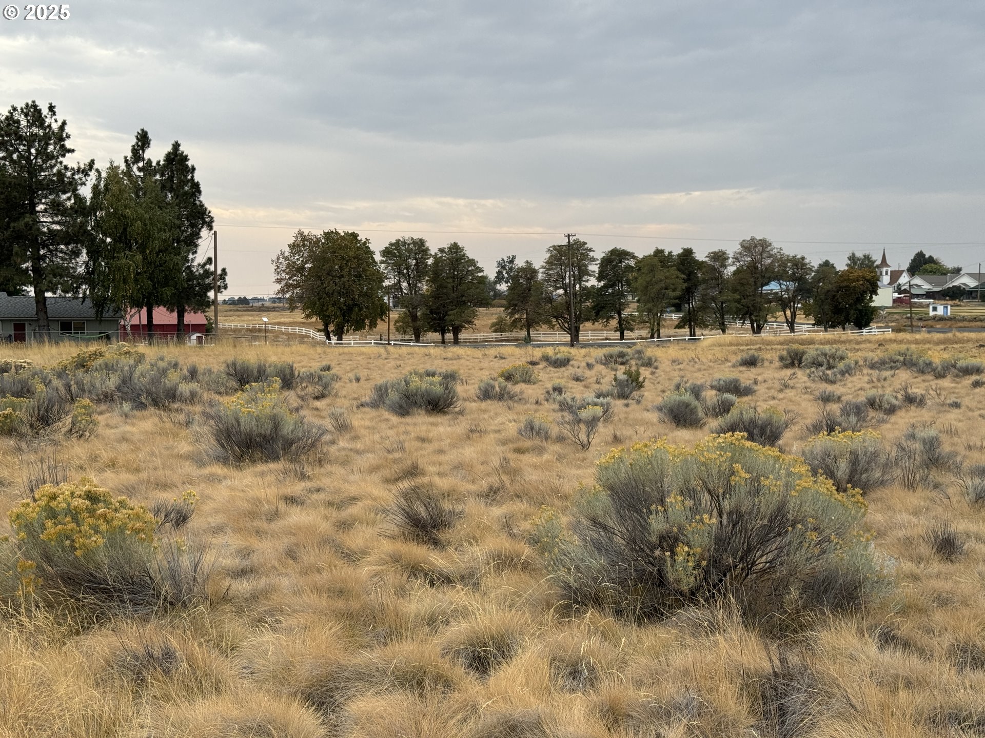 Nka E Market Street Bickleton, WA 99322 - Photo 17 of 21 a view of a dry yard with trees