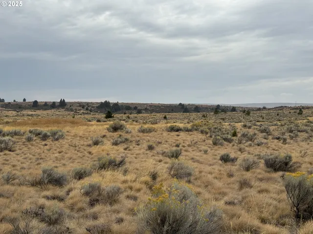 $79,000 | Nka E Market Street, Bickleton, WA 99322