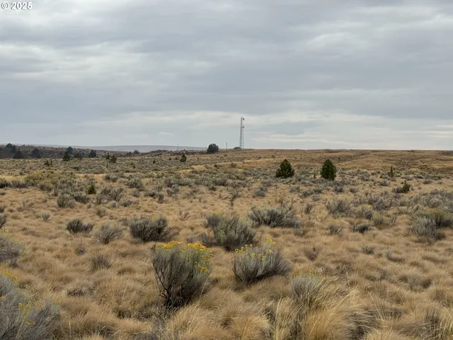 $79,000 | Nka E Market Street, Bickleton, WA 99322