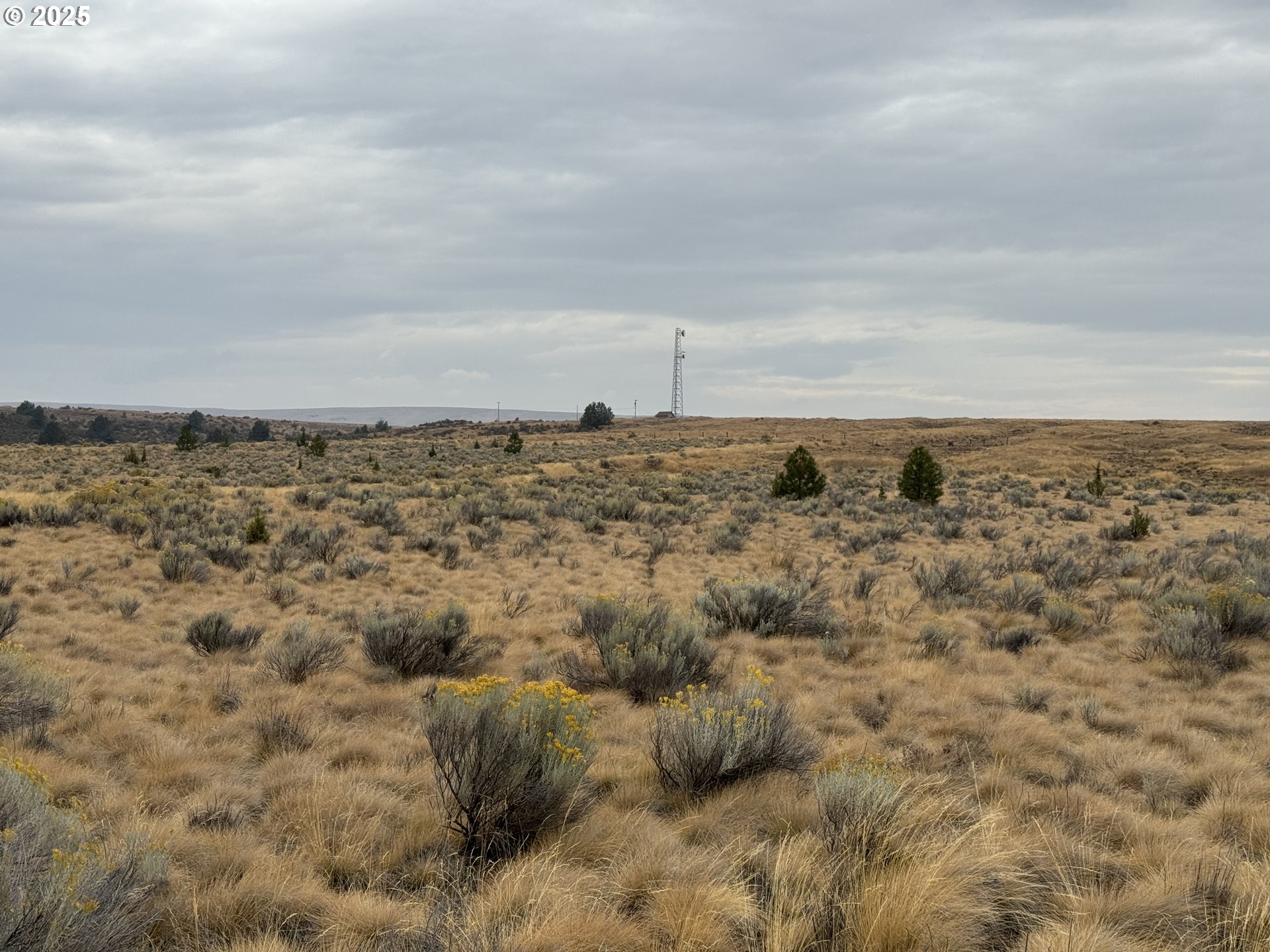 Nka E Market Street Bickleton, WA 99322 - Photo 19 of 21 a view of lake and mountain