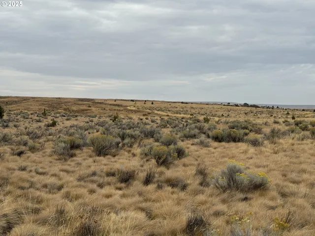 $79,000 | Nka E Market Street, Bickleton, WA 99322