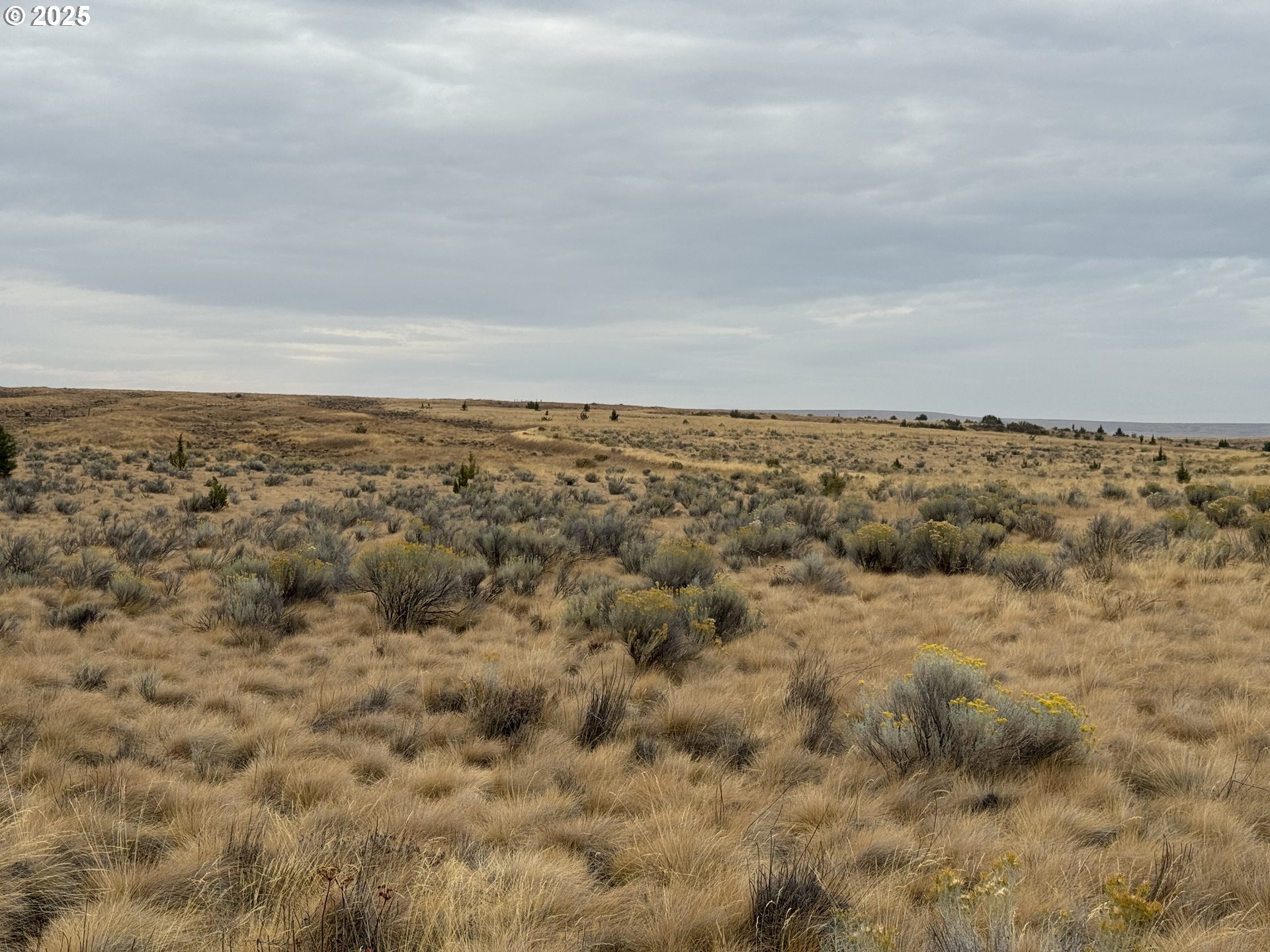 Nka E Market Street Bickleton, WA 99322 - Photo 20 of 21 a view of city and mountain