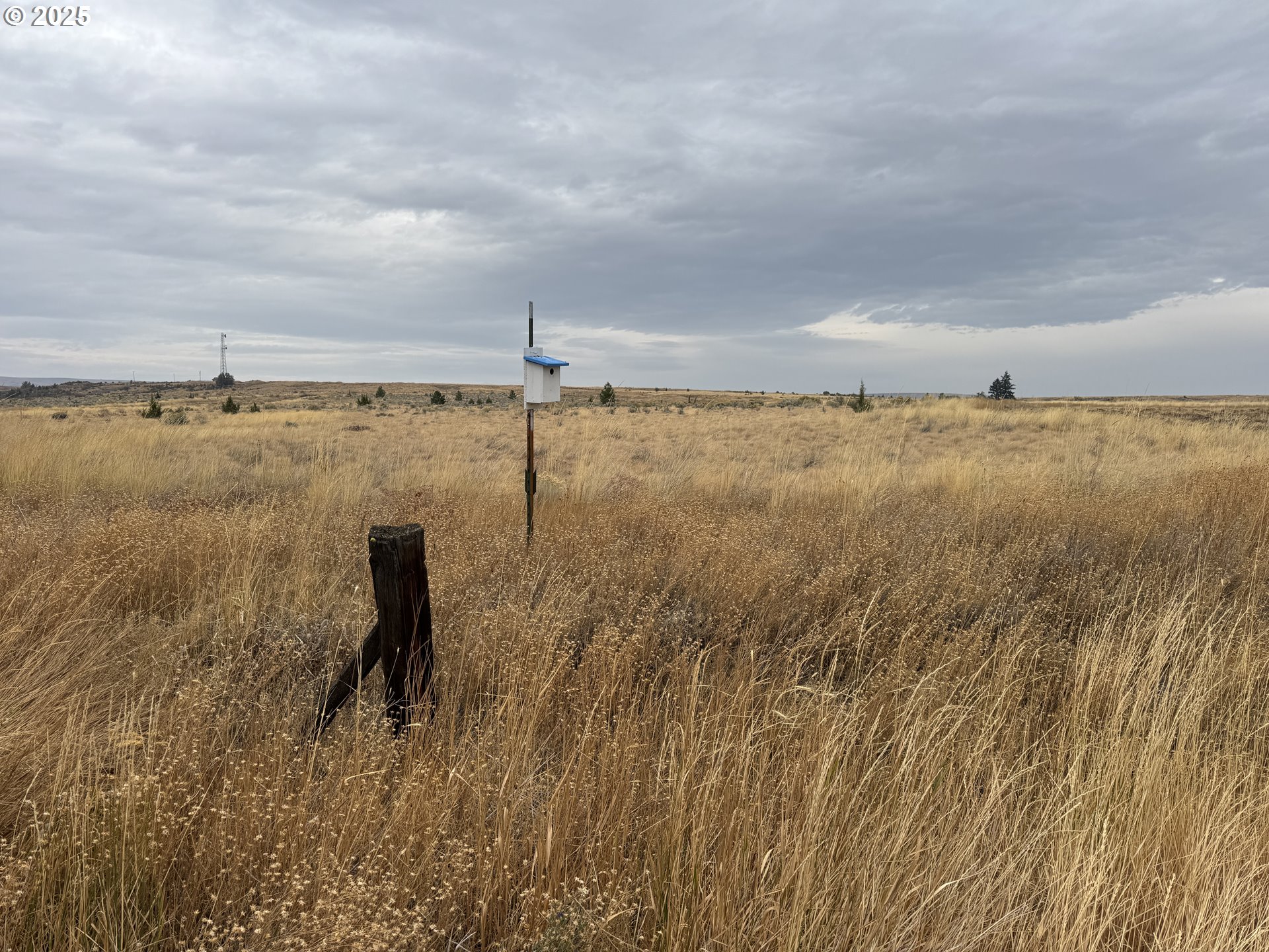 Nka E Market Street Bickleton, WA 99322 - Photo 7 of 21 a view of a lake and mountain in the back