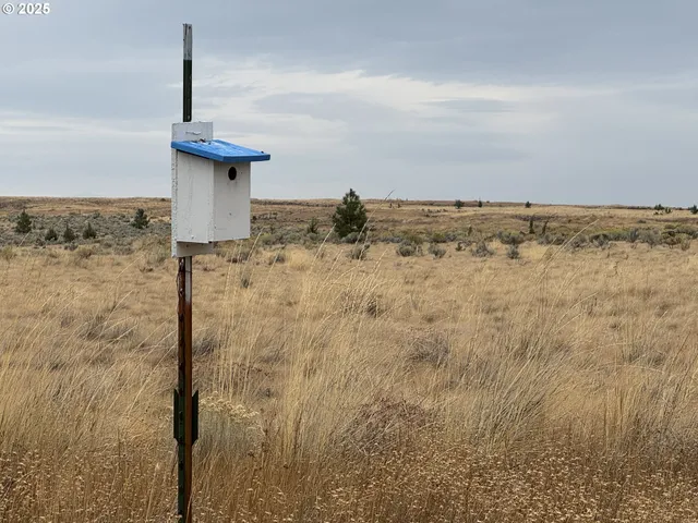 $79,000 | Nka E Market Street, Bickleton, WA 99322