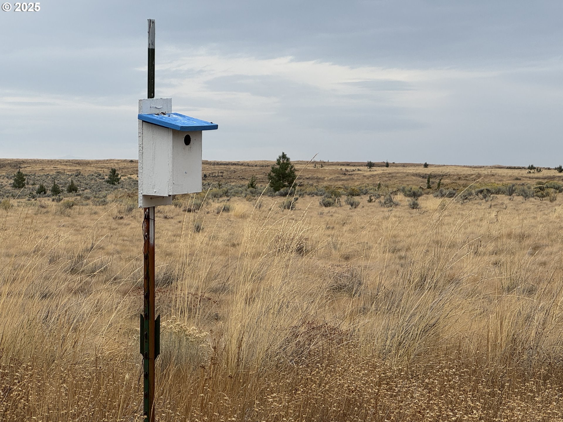 Nka E Market Street Bickleton, WA 99322 - Photo 8 of 21 a view of a dry yard