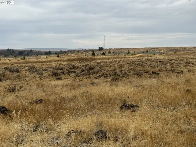 $79,000 | Nka E Market Street, Bickleton, WA 99322