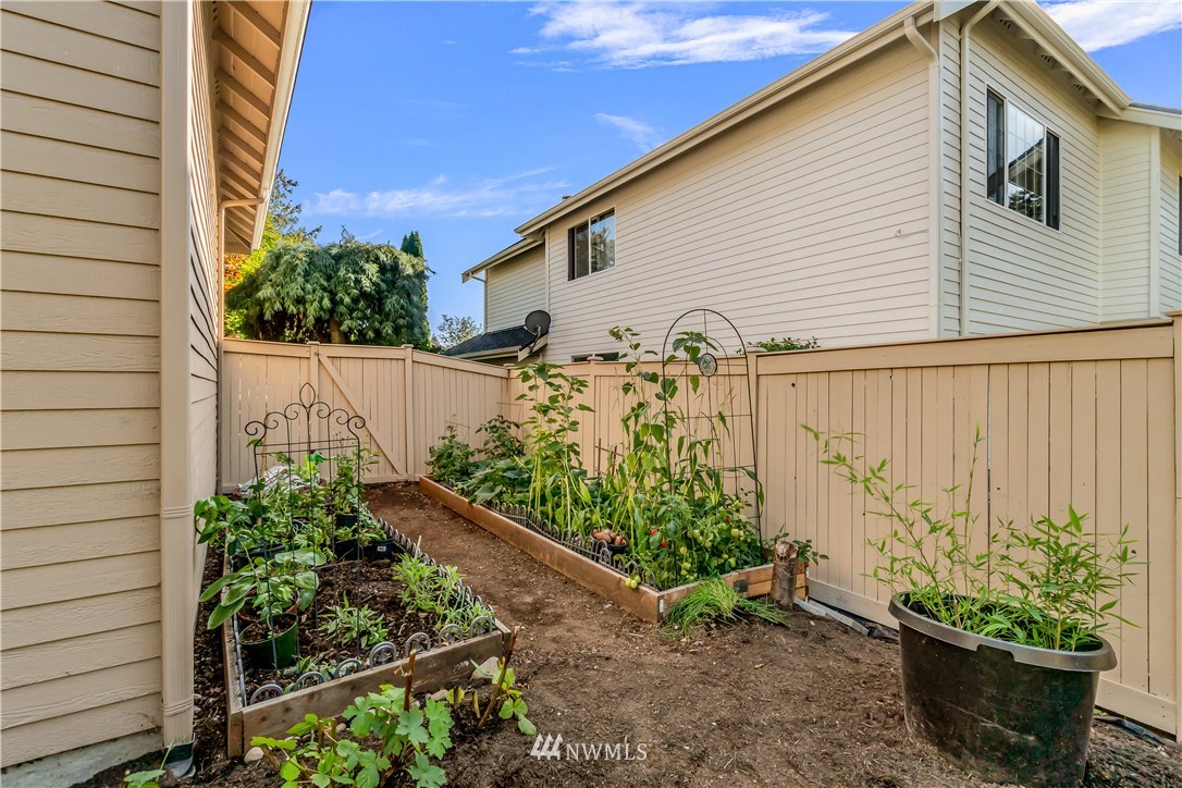 3009 214th Street Southeast Bothell, WA 98021 - Photo 36 of 36 a view of a backyard with plants