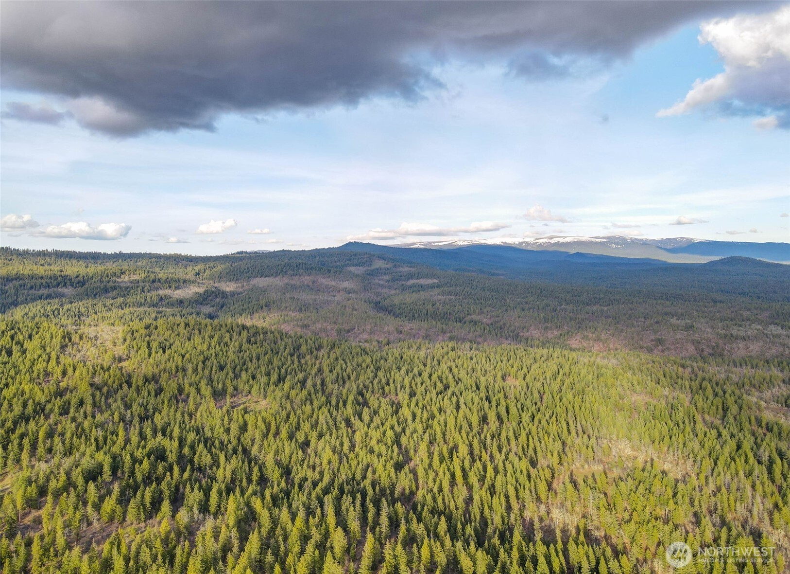 15 Greyback Mt Road Goldendale, WA 98620 - Photo 2 of 6