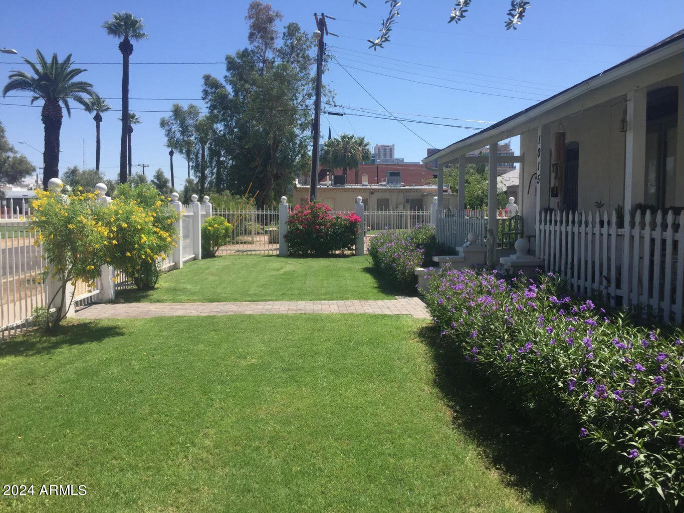 a view of a garden with potted plants