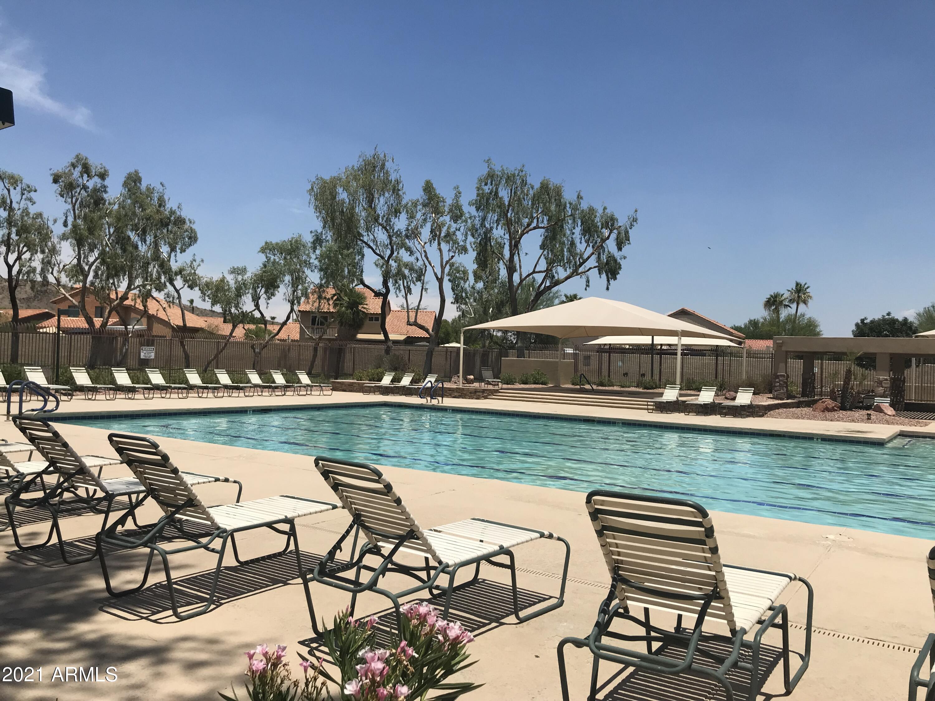 4244 East Raven Road Phoenix, AZ 85044 - Photo 29 of 31 a view of a swimming pool and lounge chairs