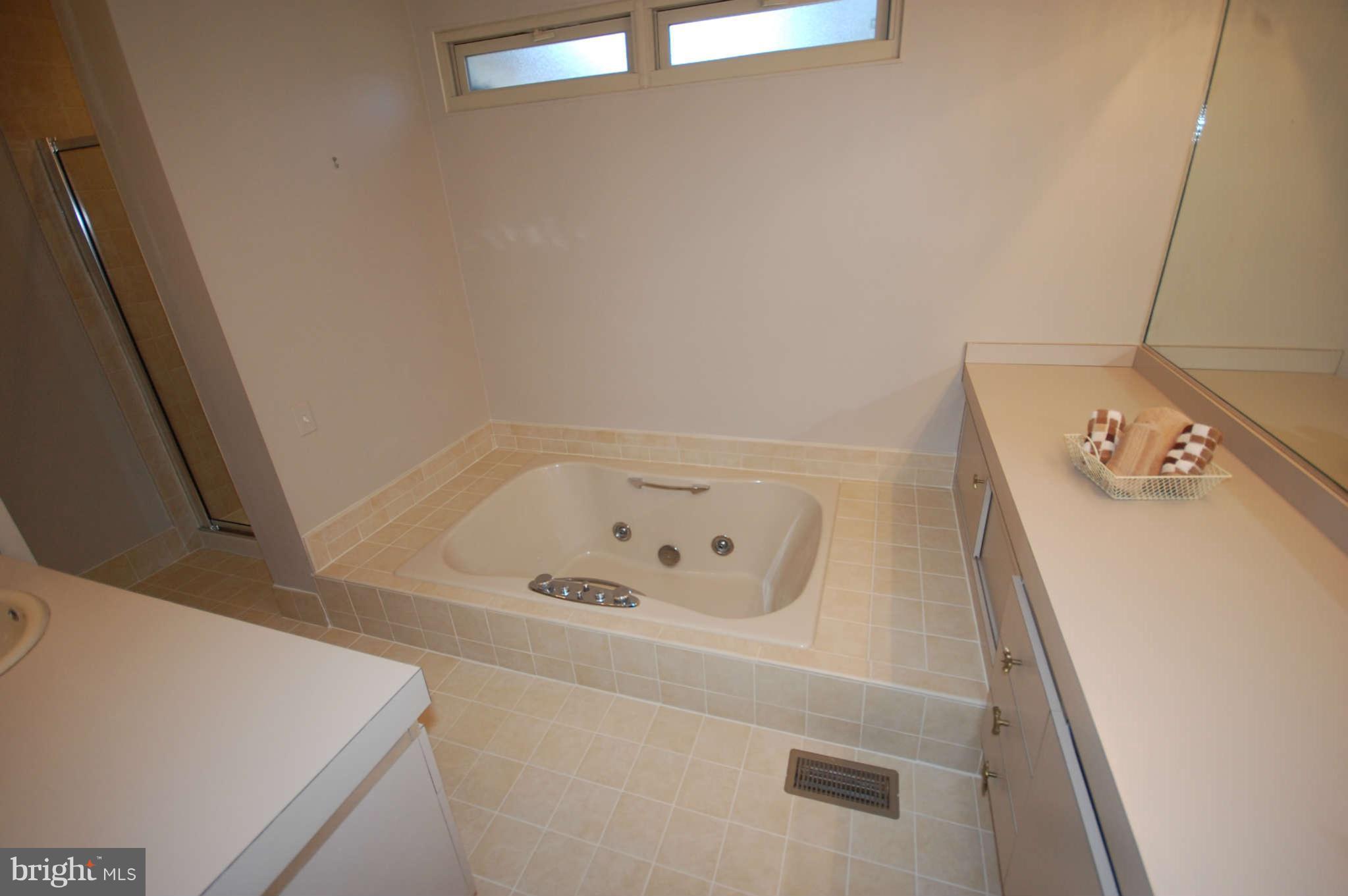 7802 Crossland Road Pikesville, MD 21208 - Photo 17 of 30 Bath (Master)