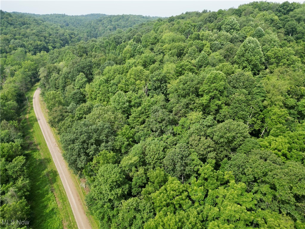 437 Township Road Dresden, OH 43821 - Photo 10 of 35 Gallery Image 10